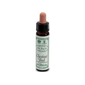 SANTIVERI Ainsworths chestnut bud 10ml