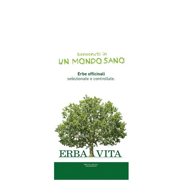 erba vita zenzero taglio tisana rizoma 1 kg