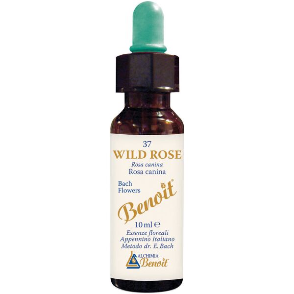 alchimia benoit fiori di bach benoit wild rose 10 ml