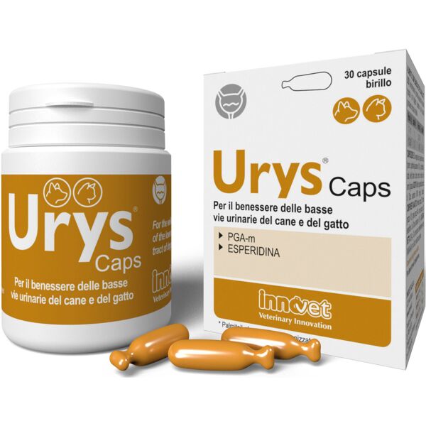 innovet urys caps 30 capsule