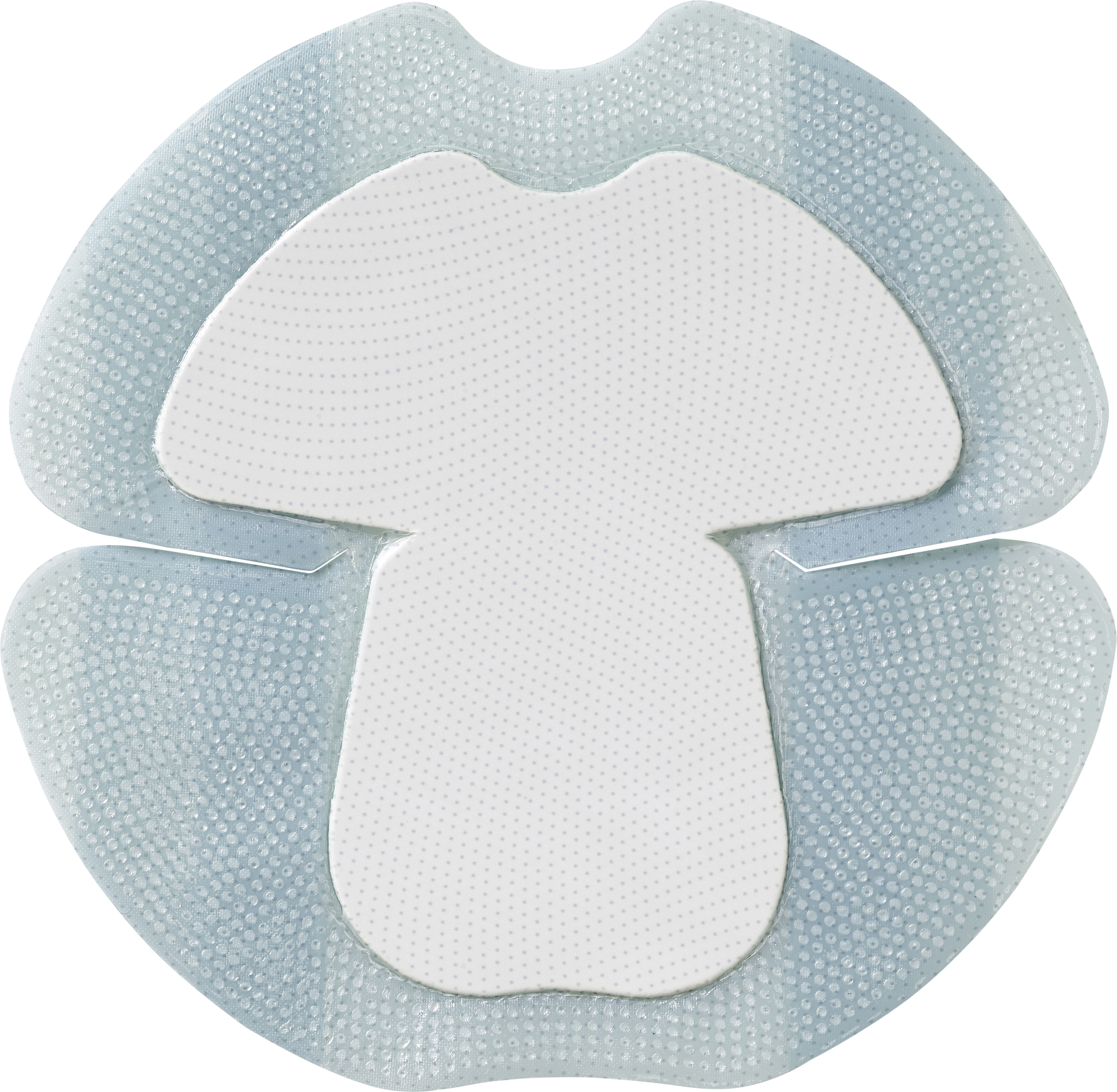 coloplast spa medicazione biatain in schiuma di poliuretano con bordo adesivo in silicone per tallone 18x18 cm 5 pezzi