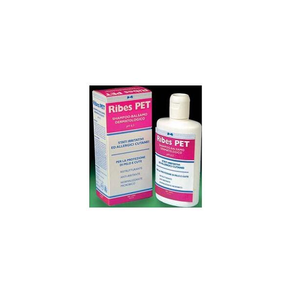 n.b.f. lanes ribes pet shampoo/bals 200ml