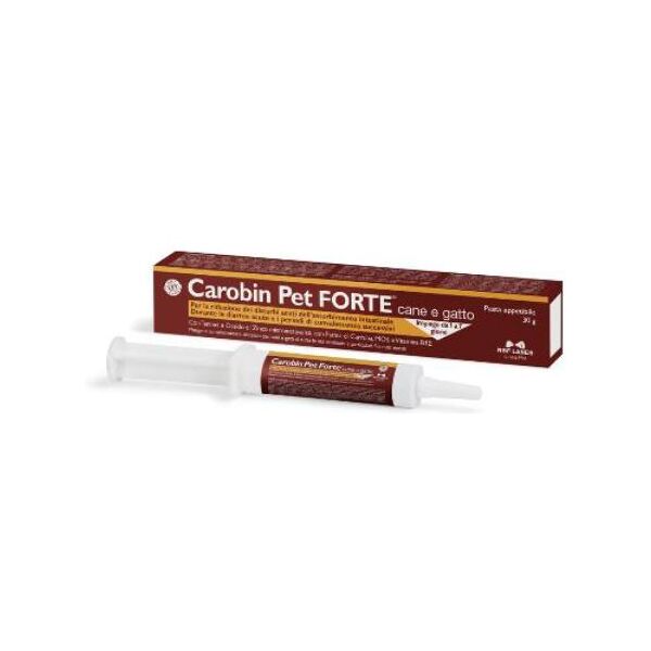 n.b.f. lanes carobin pet forte pasta 30 g