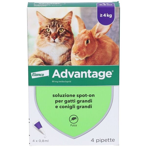 advantage antiparassitario spot-on gatti e conigli grandi peso oltre 4 kg 4 pipette 0,8 ml