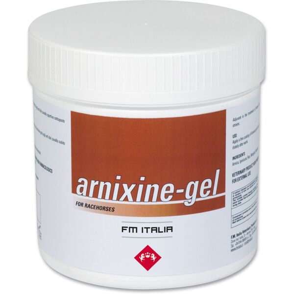 fm italia group srl arnixine gel 750ml