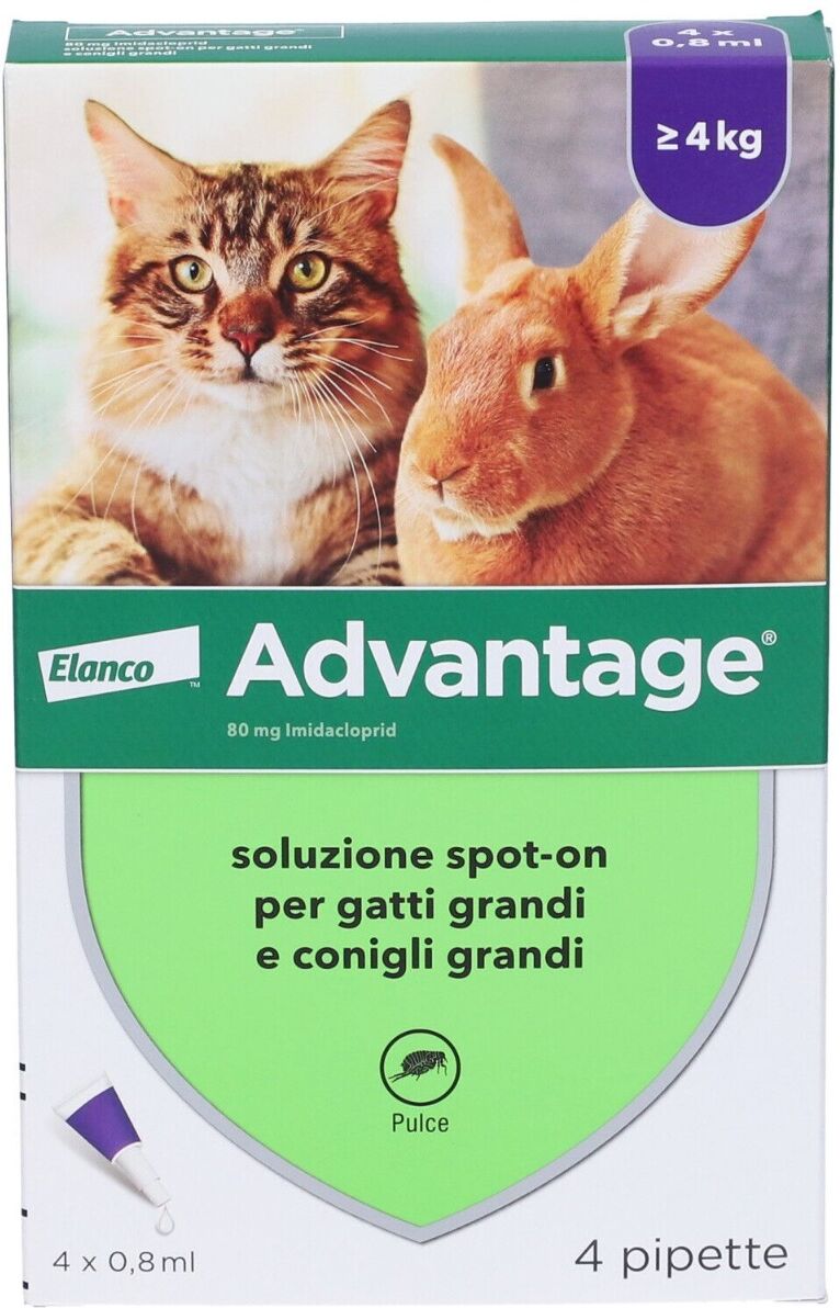 advantage antiparassitario spot-on gatti e conigli grandi peso oltre 4 kg 4 pipette 0,8 ml