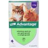 ADVANTAGE Antiparassitario Spot-On Gatti E Conigli Grandi Peso Oltre 4 kg 4 Pipette 0,8 ml