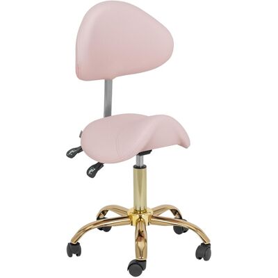physa Sgabello a sella con schienale - 51 - 65 cm - 150 kg - Rosa chiaro, oro MANNHEIM POWDER PINK_GOLD physa Sgabello a sella con schienale - 51 - 65 cm - 150 kg - Rosa chiaro, oro MANNHEIM POWDER PINK_GOLD