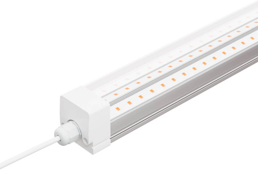 leddiretto plafoniera led 120cm 36w, ip65, grow light - stimola crescita piante