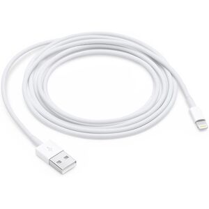 Apple Cavo da lightning a USB 2mt