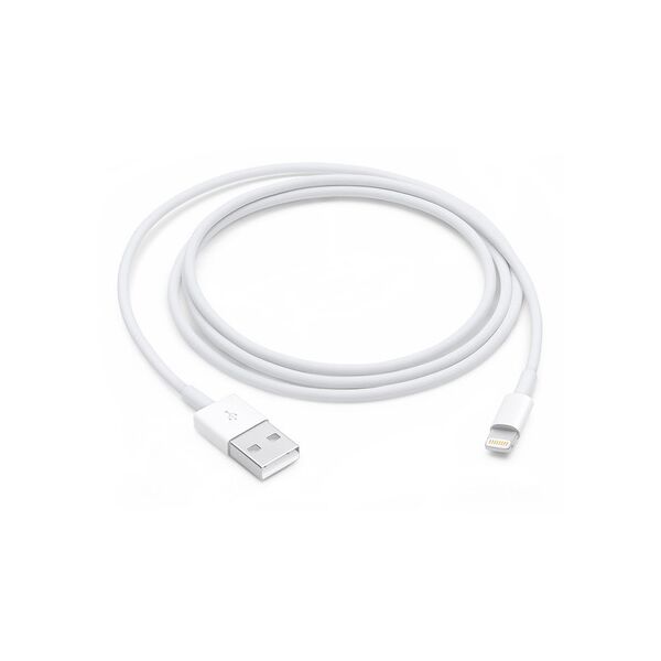 apple cavo da lightning a usb 1mt