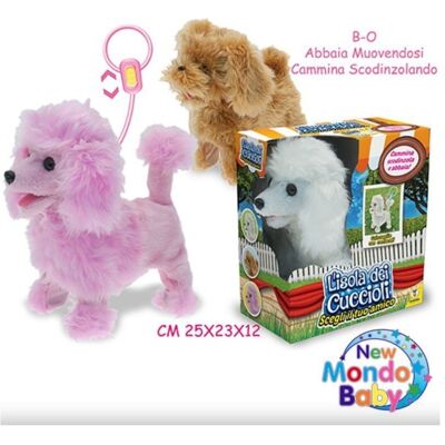 Cane Filoguidato - Teorema Cane Filoguidato - Teorema