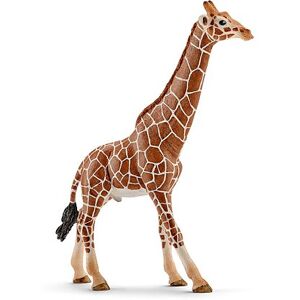 Schleich - Giraffa Maschio (14749) Schleich - Giraffa Maschio (14749)