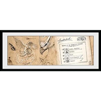 GB Eye - Fantastic Beasts: Thunderbird (Stampa In Cornice 75x30 Cm) GB Eye - Fantastic Beasts: Thunderbird (Stampa In Cornice 75x30 Cm)