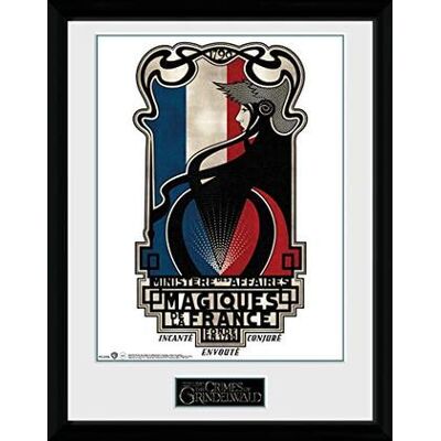 GB Eye - Fantastic Beasts 2: Magiques De La France (Stampa In Cornice GB Eye - Fantastic Beasts 2: Magiques De La France (Stampa In Cornice