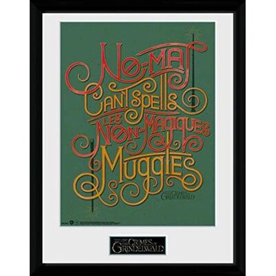 GB Eye - Fantastic Beasts 2: No-Maj (Stampa In Cornice 30x40cm) GB Eye - Fantastic Beasts 2: No-Maj (Stampa In Cornice 30x40cm)