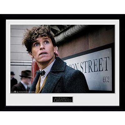 GB Eye - Fantastic Beasts 2: Newt Scamander (Stampa In Cornice 30x40cm GB Eye - Fantastic Beasts 2: Newt Scamander (Stampa In Cornice 30x40cm