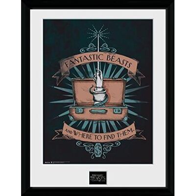 GB Eye - Fantastic Beasts: Illustration (Stampa In Cornice 30x40 Cm) GB Eye - Fantastic Beasts: Illustration (Stampa In Cornice 30x40 Cm)