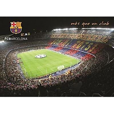 Grupo Erik - Fc Barcelona 2010/2011 - Camp Nou Cartolina A4 Grupo Erik - Fc Barcelona 2010/2011 - Camp Nou Cartolina A4