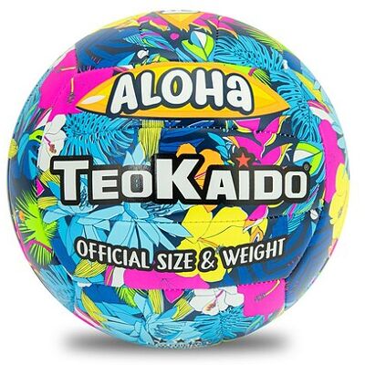 Teorema - Pallone Volley T.5 260-280 Gr (52233) Teorema - Pallone Volley T.5 260-280 Gr (52233)