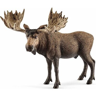 Schleich - Alce (14781) Schleich - Alce (14781)
