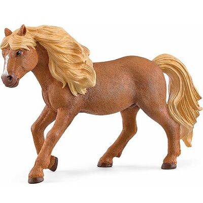 Schleich - Stallone di Pony Islandese (13943) Schleich - Stallone di Pony Islandese (13943)