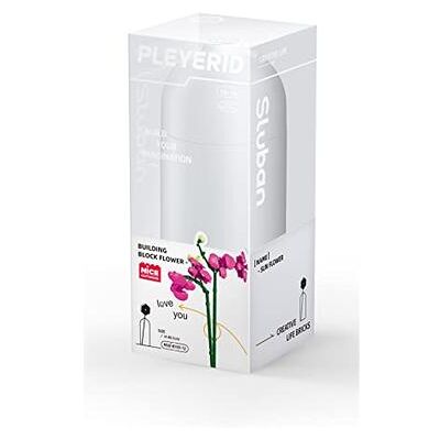 Sluban - Pleyerid - Butterfly Orchidea 253 Pz Sluban - Pleyerid - Butterfly Orchidea 253 Pz