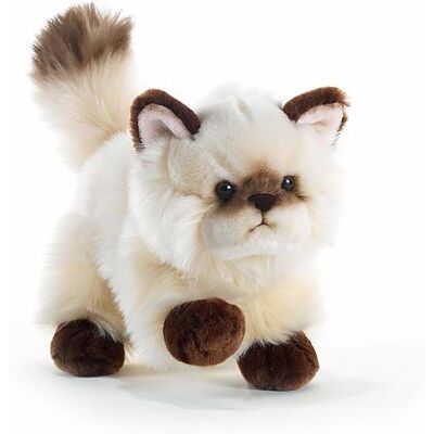 Plush & Company Gatto Thaytoo - Punto di Colore 21cm - Peluche Gatto Plush & Company Gatto Thaytoo - Punto di Colore 21cm - Peluche Gatto