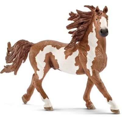 Schleich - Stallone Pinto (13794) Schleich - Stallone Pinto (13794)