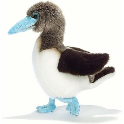 Plush & Company - Sula Blue-Feet Uccello Marino 23 cm H. (15878) Plush & Company - Sula Blue-Feet Uccello Marino 23 cm H. (15878)