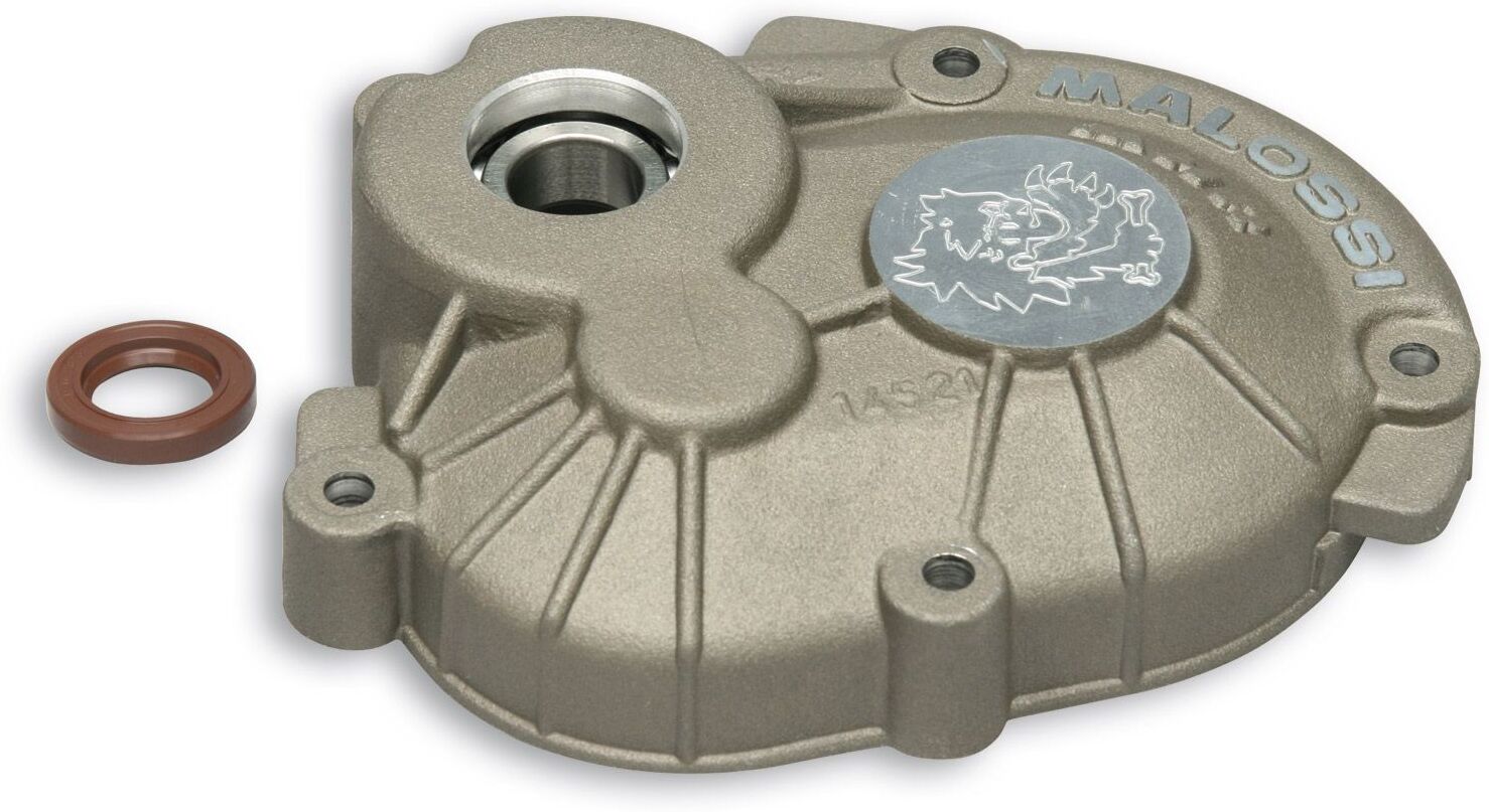 carter ingranaggi roller crankcase team per motori piaggio malossi aprilia sr r 50 2t lc euro 4 2018+ (piaggio ca81m)