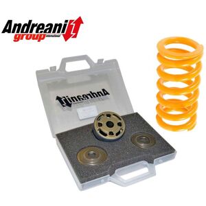 Kit Modifica Mono Oem Andreani Ducati Multistrada 1200 2010-2012