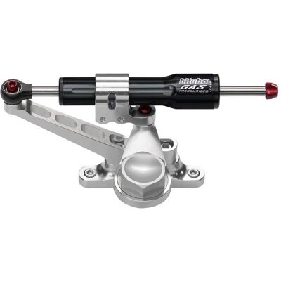 Kit189a2 Kit Ammortizzatore Sterzo Racing Nero Bitubo Triumph Street Triple 765 Rs 2017-2024 Kit189a2 Kit Ammortizzatore Sterzo Racing Nero Bitubo Triumph Street Triple 765 Rs 2017-2024