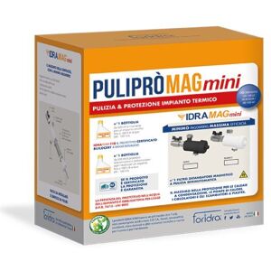 Foridra PULIPRO MAG MINI NERO KIT DI PULIZIA E PROTEZIONE IMPIANTO TERMICO 100 LT. PULIPMINN