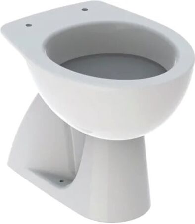 Geberit COLIBRÌ VASO WC A PAVIMENTO A CACCIATA CON SCARICO VERTICALE BIANCO 500.856.00.1