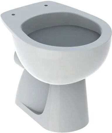 Geberit COLIBRÌ VASO WC A PAVIMENTO A CACCIATA CON SCARICO ORIZZONTALE BIANCO 500.875.00.1