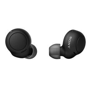 Sony WF-C500 Auricolari True Wireless, Fino a 20 ore di durata della batteria con custodia di ricarica, Compatibile con l'Assistente Vocale, Microfono integrato (Nero)