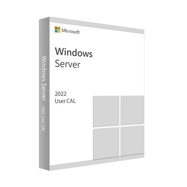 Microsoft WINDOWS SERVER 2022 10 USER CALS