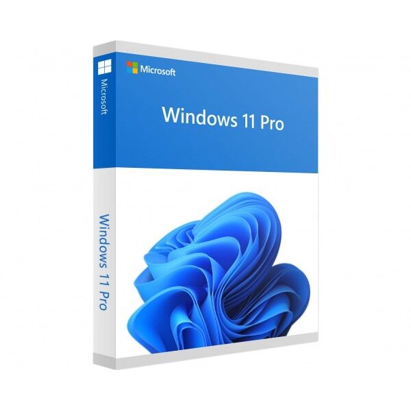 Microsoft WINDOWS 11 PROFESSIONAL
