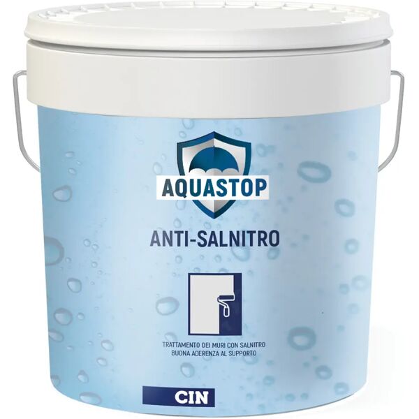 boero trattamento preventivo antisalnitro cin 5 l per interni ed esterni  10-14 m²/l pronto uso