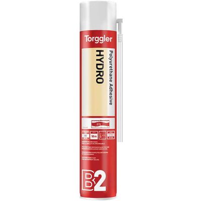 Torggler SCHIUMA POLIURETANICA 750 ml AMBIENTI SANITARI CANNUCCIA MANUALE Torggler SCHIUMA POLIURETANICA 750 ml AMBIENTI SANITARI CANNUCCIA MANUALE