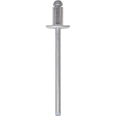 Friulsider RIVETTI Ø 4,8x10 mm 100 PEZZI ALLUMINIO Friulsider RIVETTI Ø 4,8x10 mm 100 PEZZI ALLUMINIO