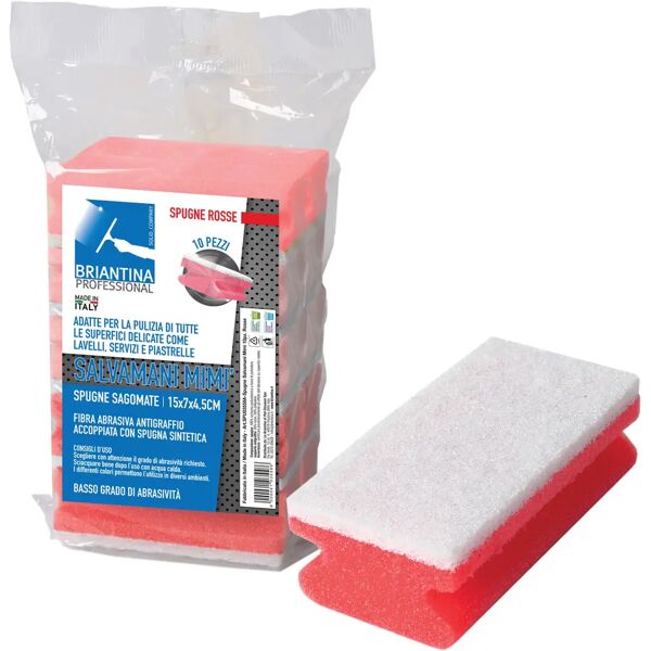 tecnomat 10 spugne abrasive professional rosse salvamani