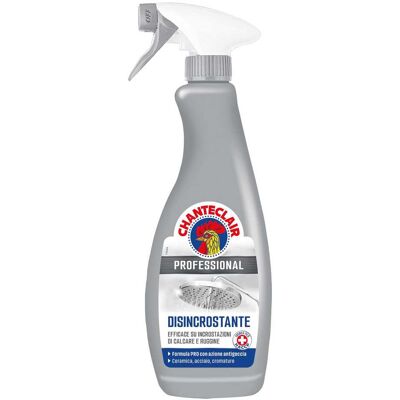 Chanteclair DISINCROSTANTE PRO 700 ml FORTE CONTRO CALCARE IDONEO PROTOCOLLO HACCP Chanteclair DISINCROSTANTE PRO 700 ml FORTE CONTRO CALCARE IDONEO PROTOCOLLO HACCP