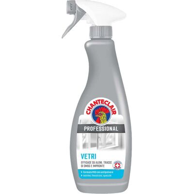 Chanteclair DETERGENTE VETRI PRO 700 ml BRILLANTE E SENZA ALONI IDONEO PROTOCOLLO HACCP Chanteclair DETERGENTE VETRI PRO 700 ml BRILLANTE E SENZA ALONI IDONEO PROTOCOLLO HACCP