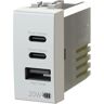 4box PRESA USB  3 USCITE POWER DELIVERY 2 USCITE C 1 USCITA A 20W COMPATIBILE BTICINO LIGHT