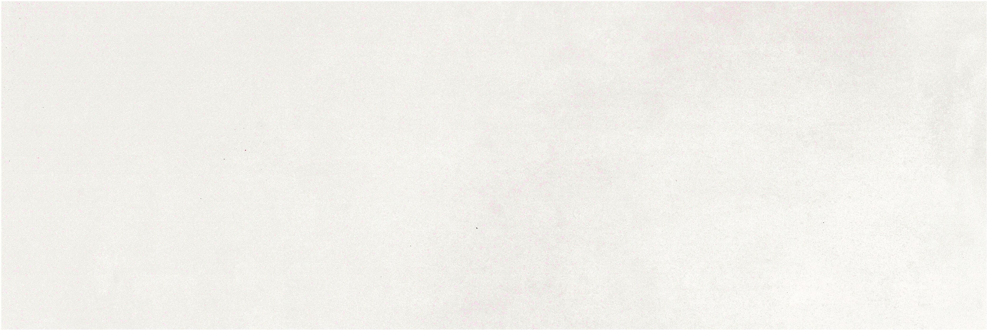 Blanco Rivestimento Palmette Blanco 30x90x0,8 Cm Rettificato Bicottura Pasta Bianca Blanco Rivestimento Palmette Blanco 30x90x0,8 Cm Rettificato Bicottura Pasta Bianca