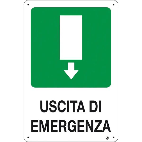 nuova algis targa uscita di emergenza giu in pvc 20x30 cm