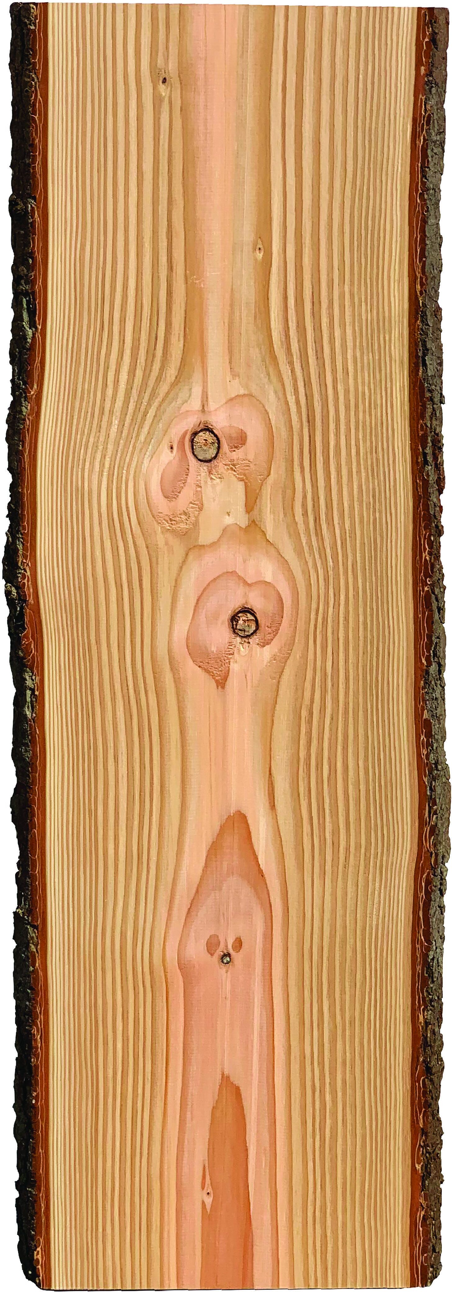 Tavola Dougliasia Corteccia  120x35 Cm (Hxl) Spessore 30 Mm Tavola Dougliasia Corteccia  120x35 Cm (Hxl) Spessore 30 Mm