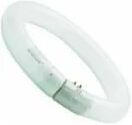 FEILO_SYLVANIA Circolina Sylvania Fluorescente G10q 40w 3200 Lumen 3000k Luce Calda Dimmerabile